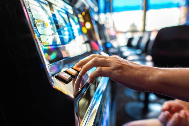 Multi-sport dashboard and betting overview
